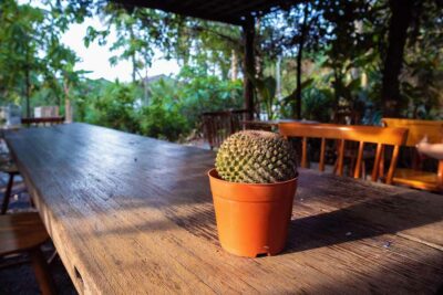 Table de jardin en bois